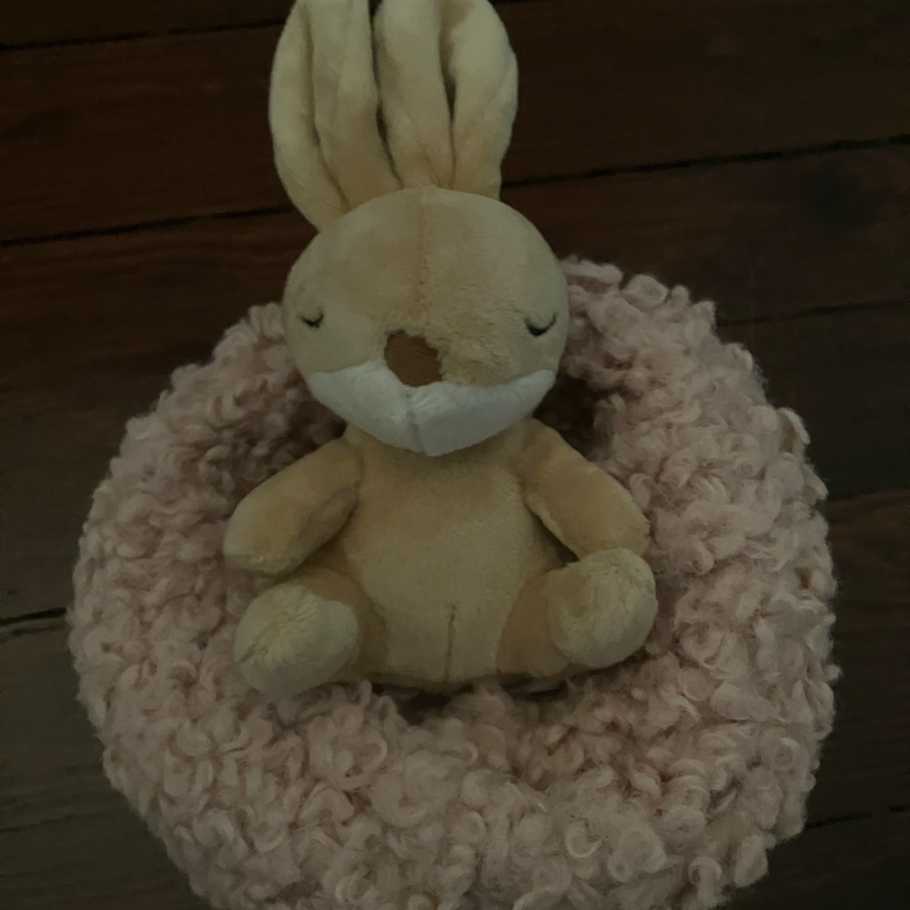 Small Jellycat for kids (very cute)